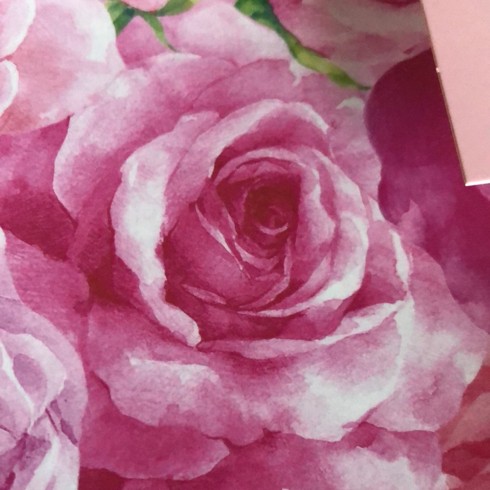 Paris Hilton Pink Floral Rose Melamine Plates - Picture 3 of 7